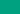 Primasol Wall Paint - 10 Litres - Biofa Ireland