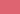 Primasol Wall Paint - 4 Litres - Biofa Ireland