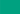 Primasol Wall Paint - 4 Litres - Biofa Ireland