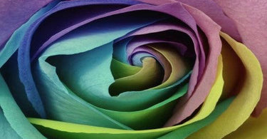 Our Natural and Non-Toxic Paints, Wood Paint and Varnish are Mixed To Order!