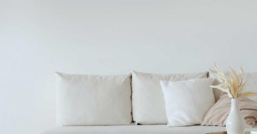 Why pay more for Natural Paint?